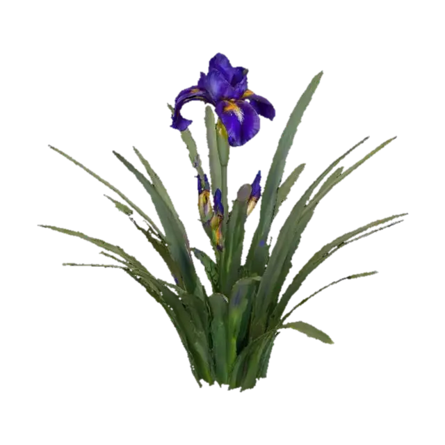 Iris Blooming - Bloom 3D model, vytvořený pomocí AI