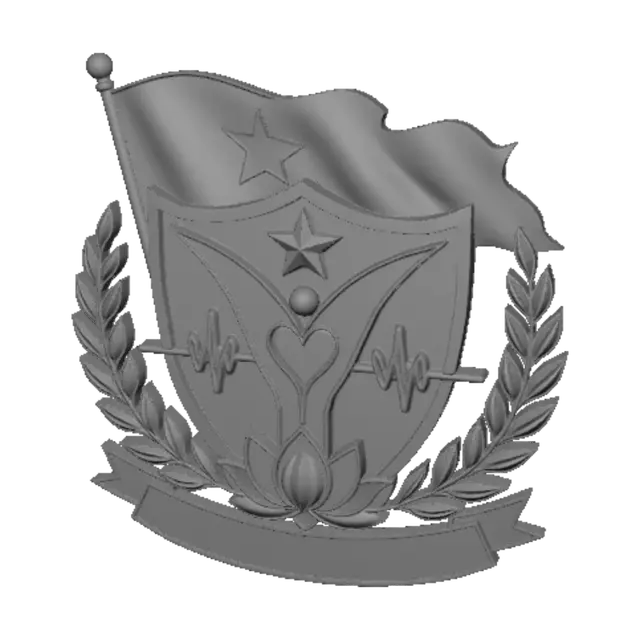 3D model for Vietnamese Medical Crest