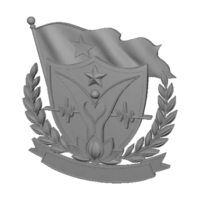 3D model for Vietnamese Medical Crest