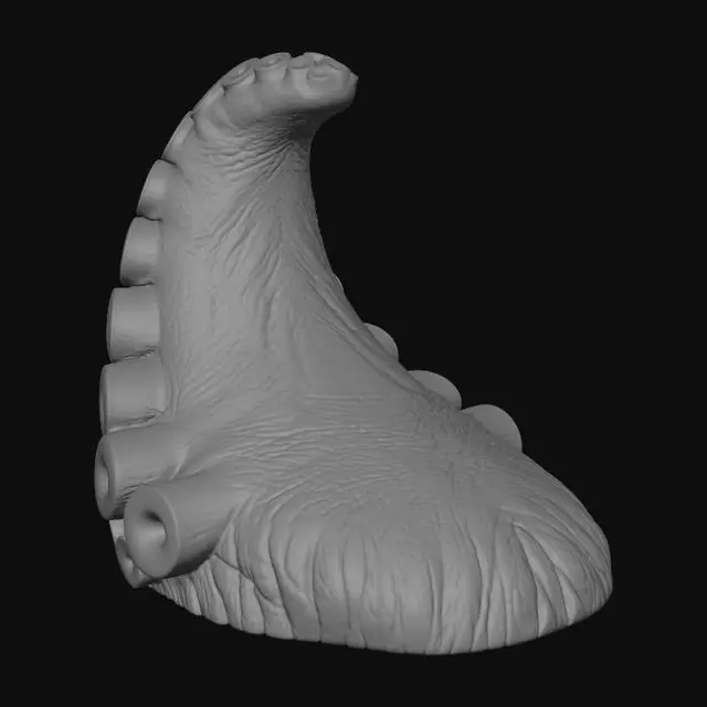 3D model for Crimson Tentacle