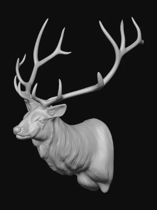 3D model for Stag at the Bar