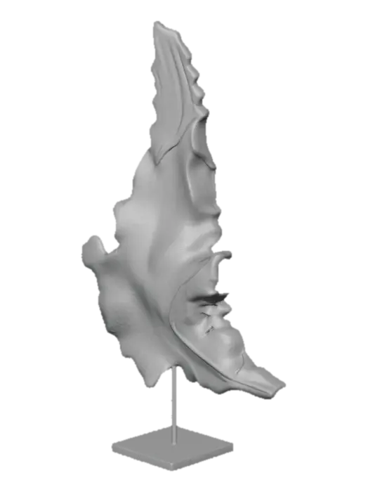 3D model for Ethereal Driftwood