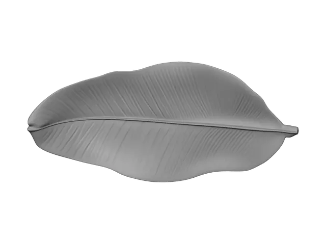 3D model for Green Banana Leaf
