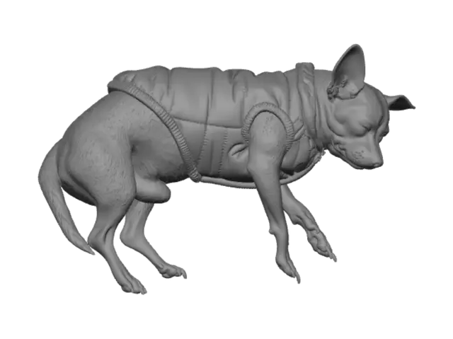 3D model for Red Jacket Nap