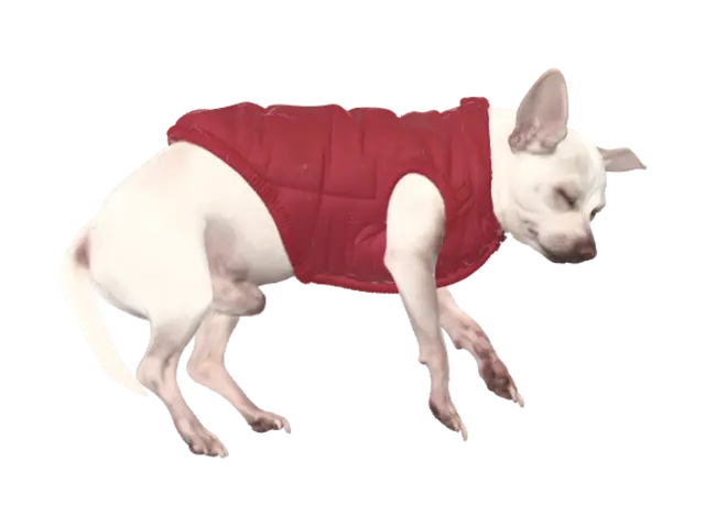 3D model for Red Jacket Nap