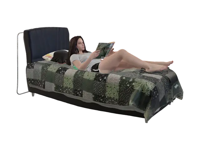 3D model for Cozy Reading on a Patchwork Quilt