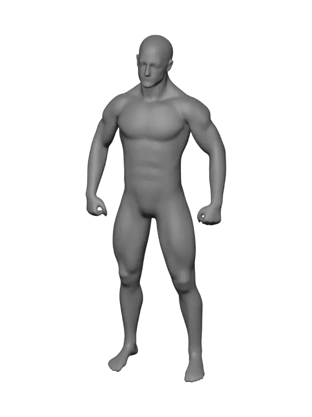 3D model for Frontal View of Human Musculature