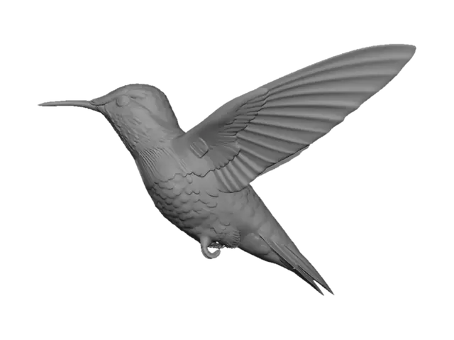 3D model for Radiant Hummingbird