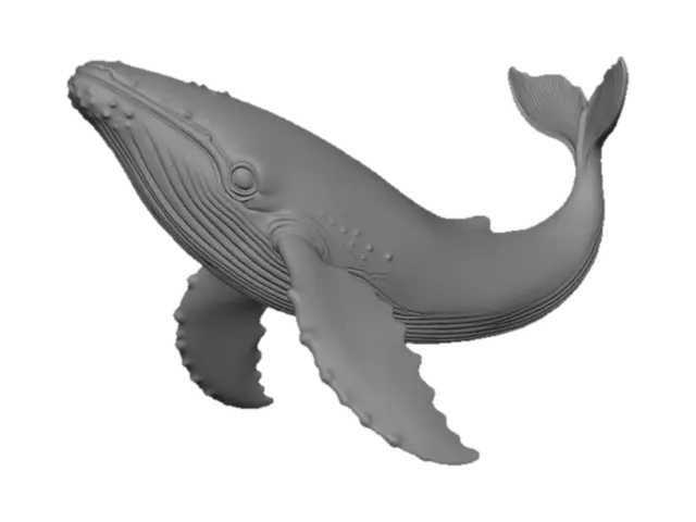 3D model for Prismatic Whale
