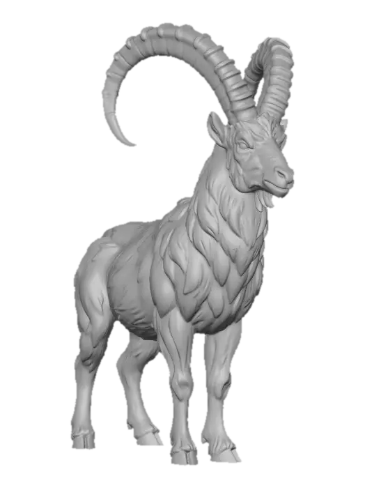 3D model for Alpine Ibex