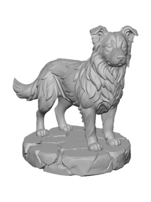 3D model for Border Collie