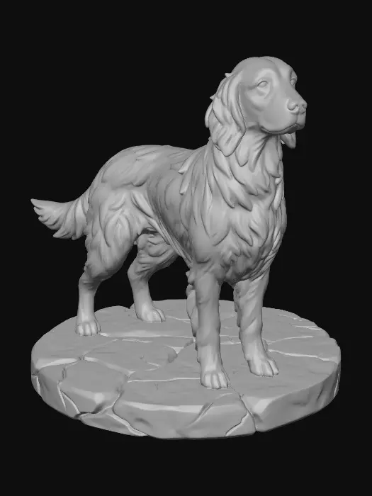 3D model for Irish Setter