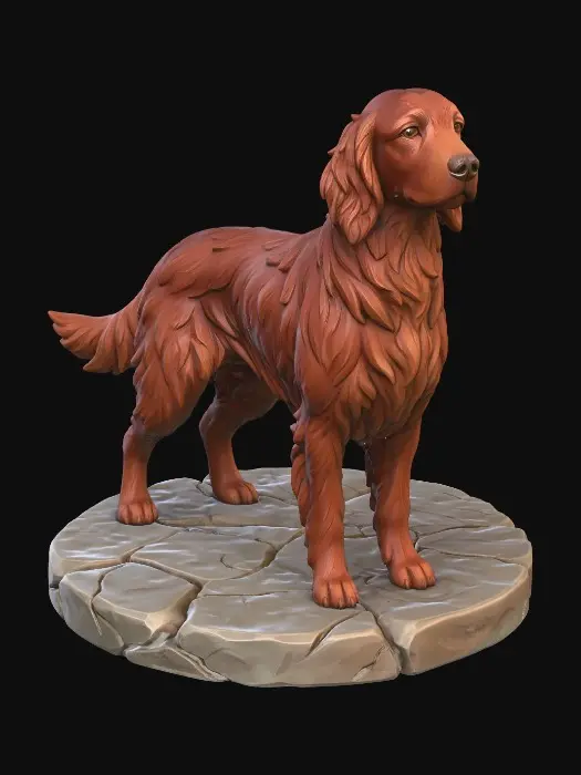 3D model for Irish Setter