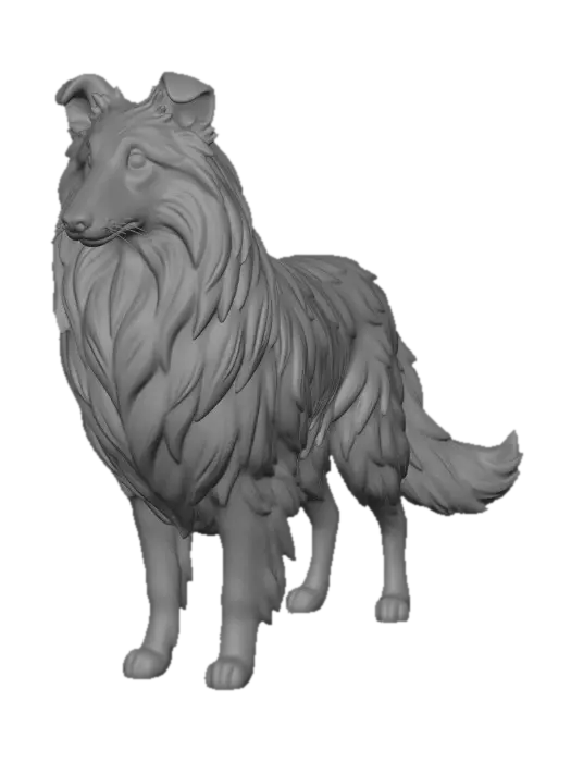 3D model for Collie