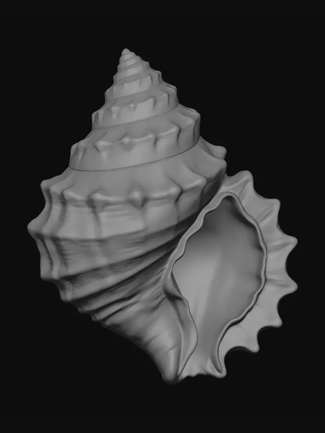 3D model for Iridescent Rainbow Spiral Conch Shell