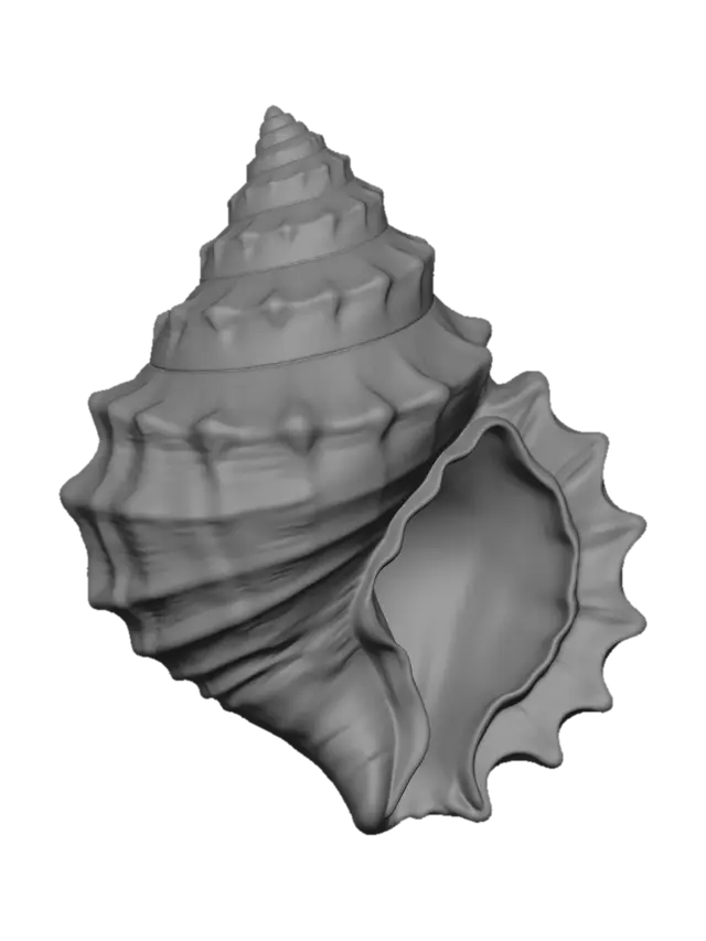 3D model for Iridescent Rainbow Spiral Conch Shell