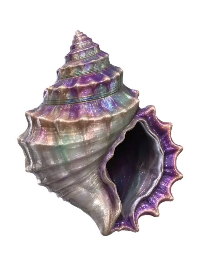 3D model for Iridescent Rainbow Spiral Conch Shell