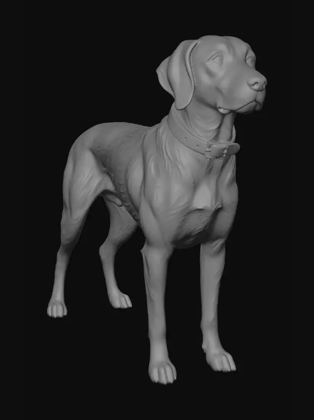 3D model for Grey Sentinel