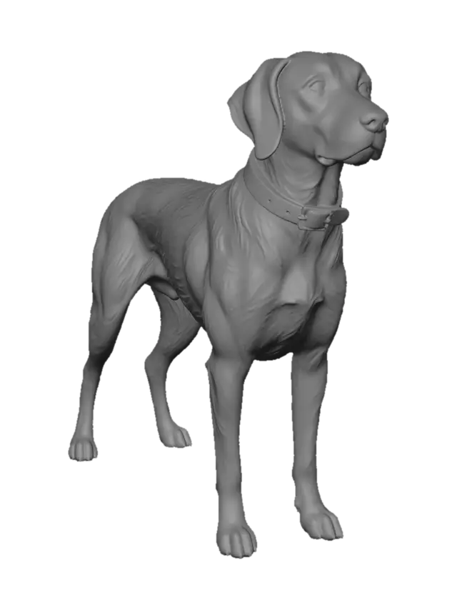 3D model for Grey Sentinel