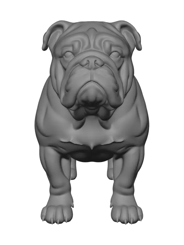 3D model for Bruno the Bulldog