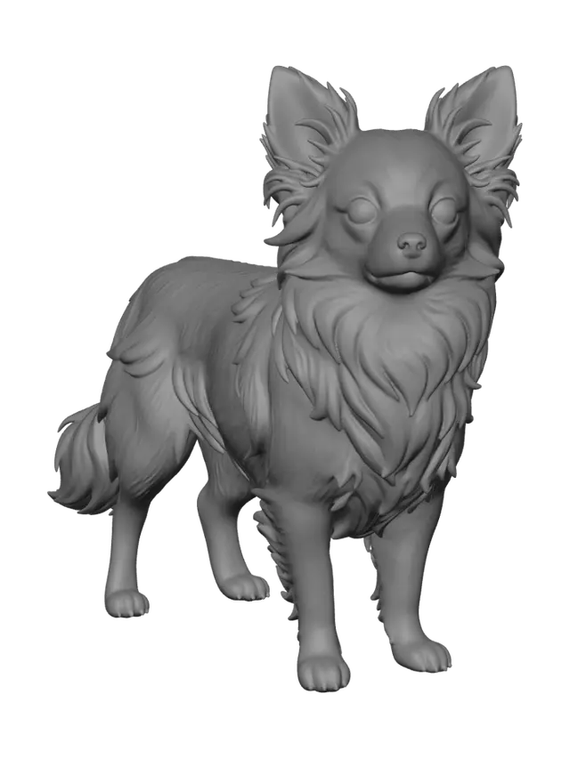 3D model for Sunny Chihuahua