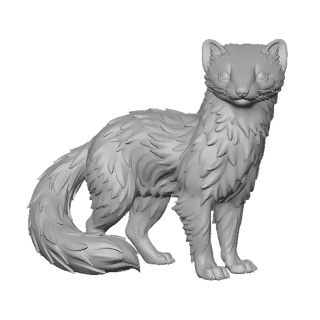 3D model for Marten
