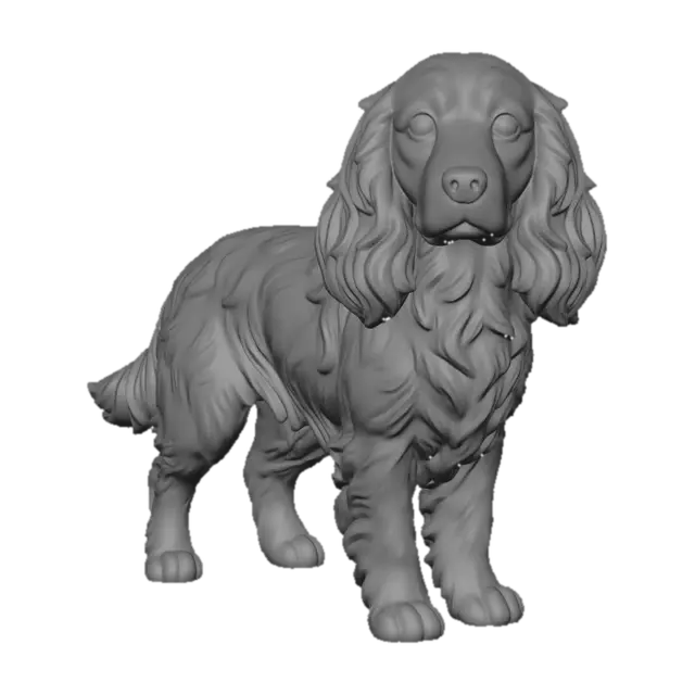 3D model for Spaniel