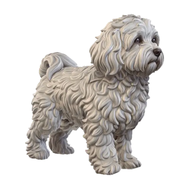 Bolognese - Friend 3D model, vytvořený pomocí AI