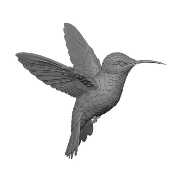3D model for Prismatic Hummingbird