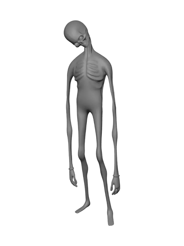 3D model for Lanky Sentinel