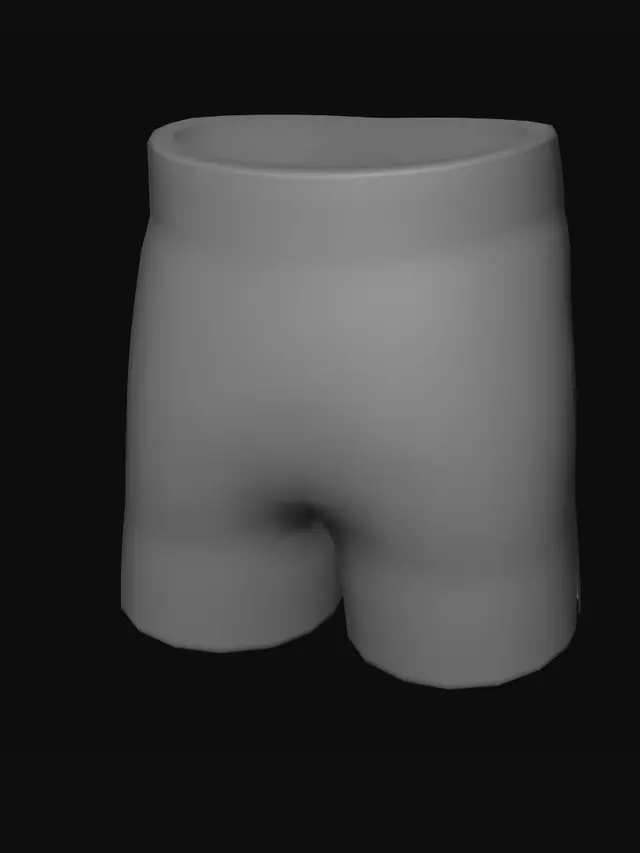3D model for Shorts_Default_Geo