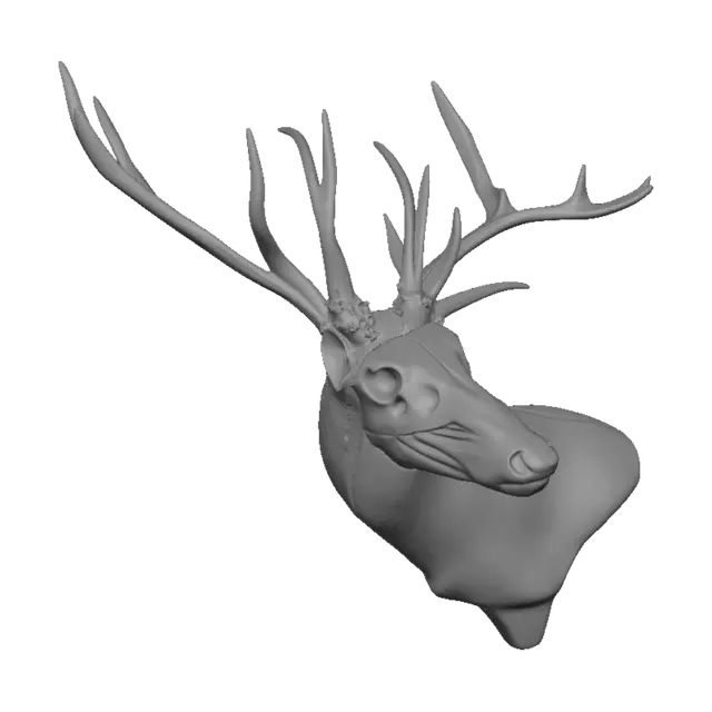 3D model for Taxidermy Studio: Antlers and Skulls