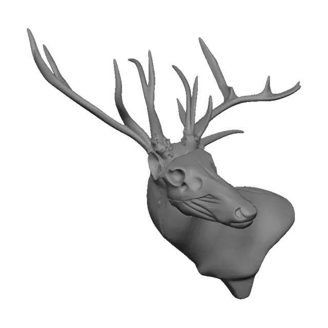 3D model for Taxidermy Studio: Antlers and Skulls