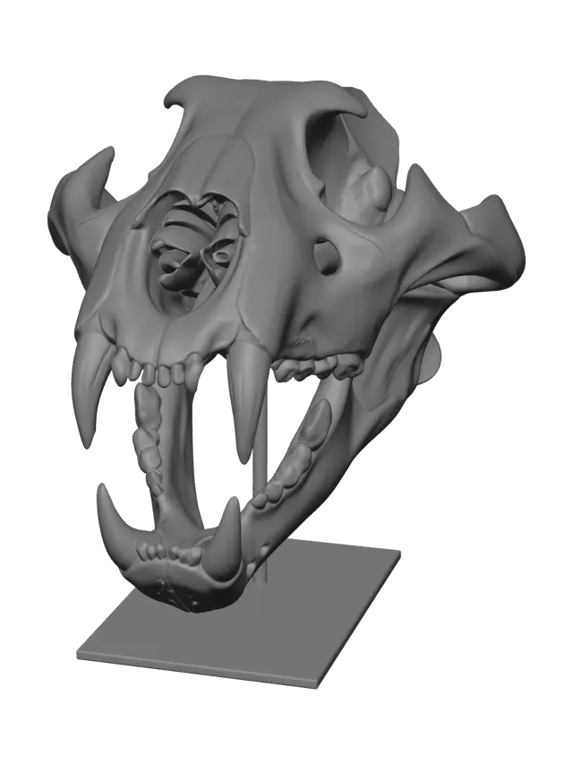 3D model for Stylized Lion Skull