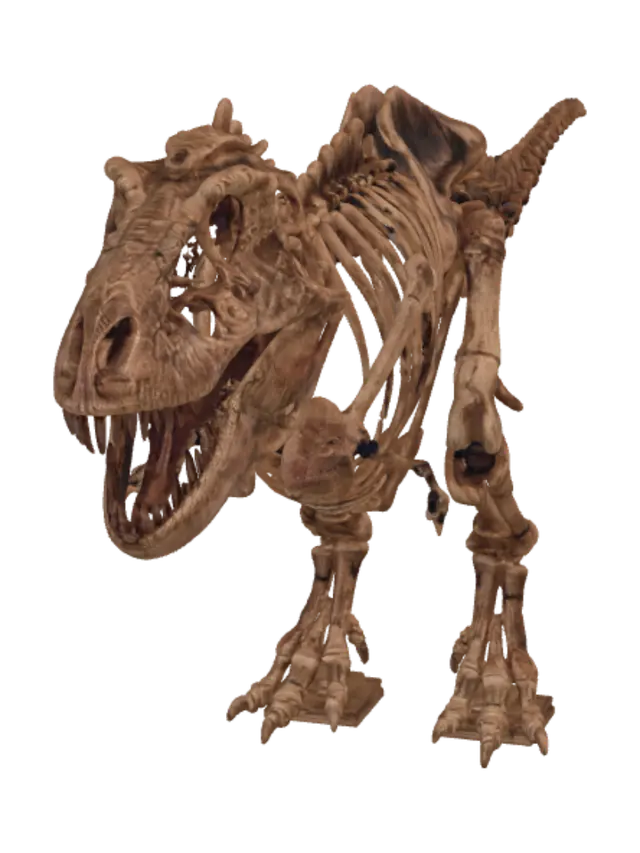 3D model for Rusted Rex Skeleton