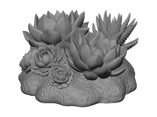 3D model for Succulent Harmony