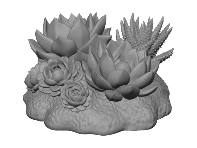 3D model for Succulent Harmony
