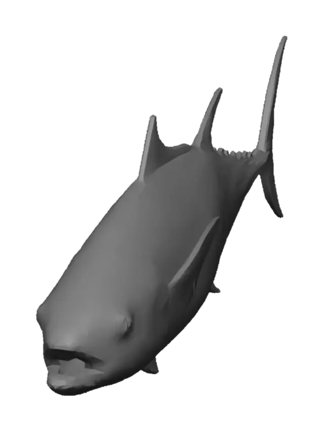 3D model for Yellowfin Tuna