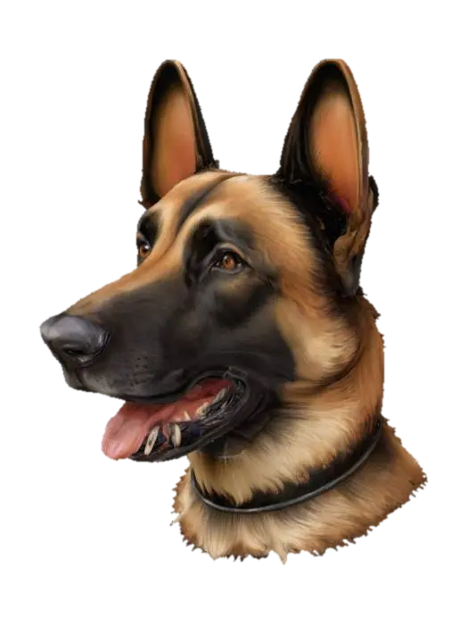 3D model for Majestic Shepherd