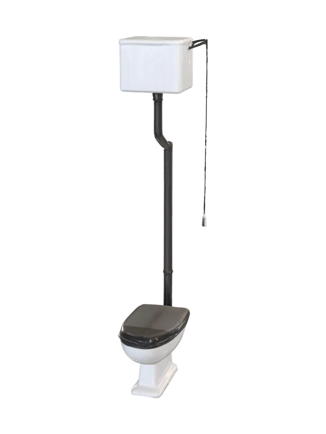 3D model for Elevated Toilet