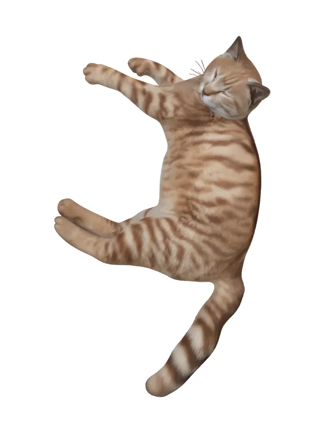 3D model for Stretching Orange Tabby