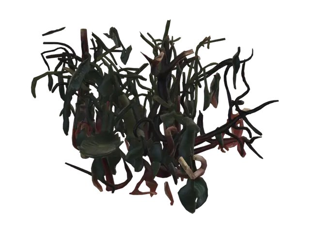 3D model for 