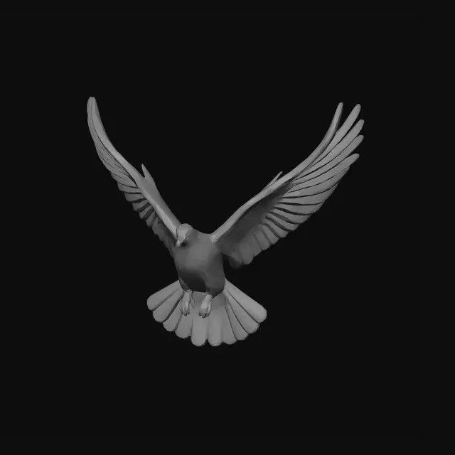 3D model for White Dove in Flight