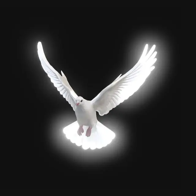 3D model for White Dove in Flight