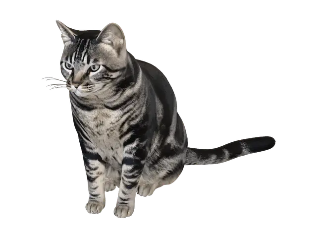 Modello 3D Sitting Cat Figurine Rome - Stray, generato dall’IA
