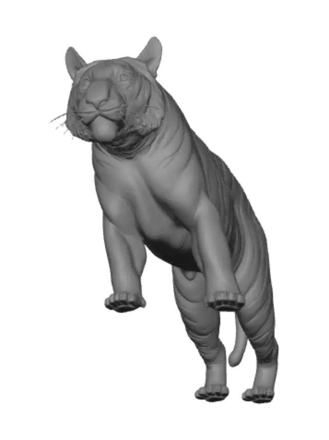 3D model for Tiger in the Grass