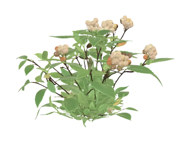 Eine Andenbeere Pflanze, wie sie in einem Beet ist (ohne das Beet). - Stems 3D model, vytvořený pomocí AI