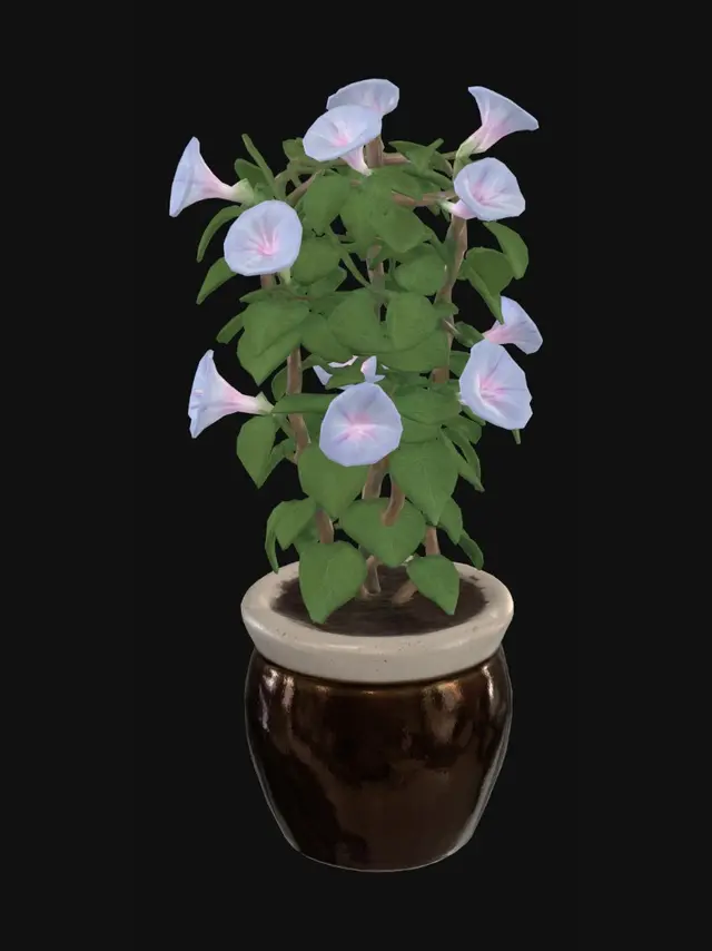 3D model for 鉢植えの朝顔