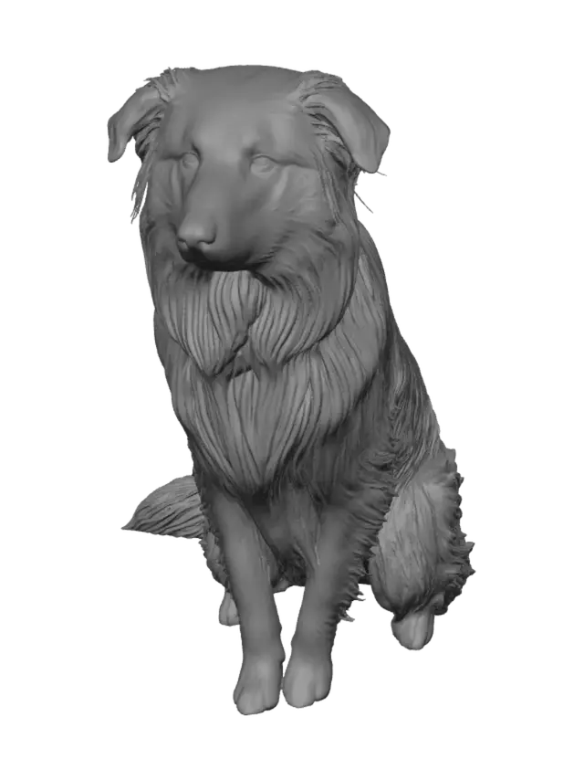 3D model for Blue-Eyed Aussie