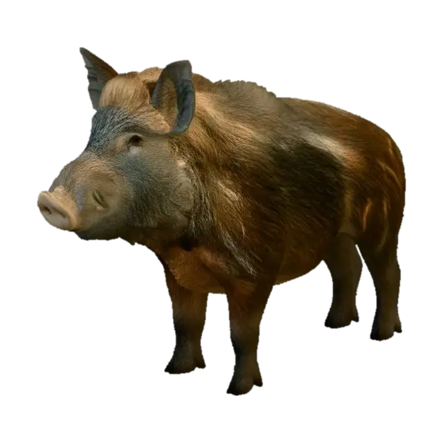 Pig 3D model, vytvořený pomocí AI